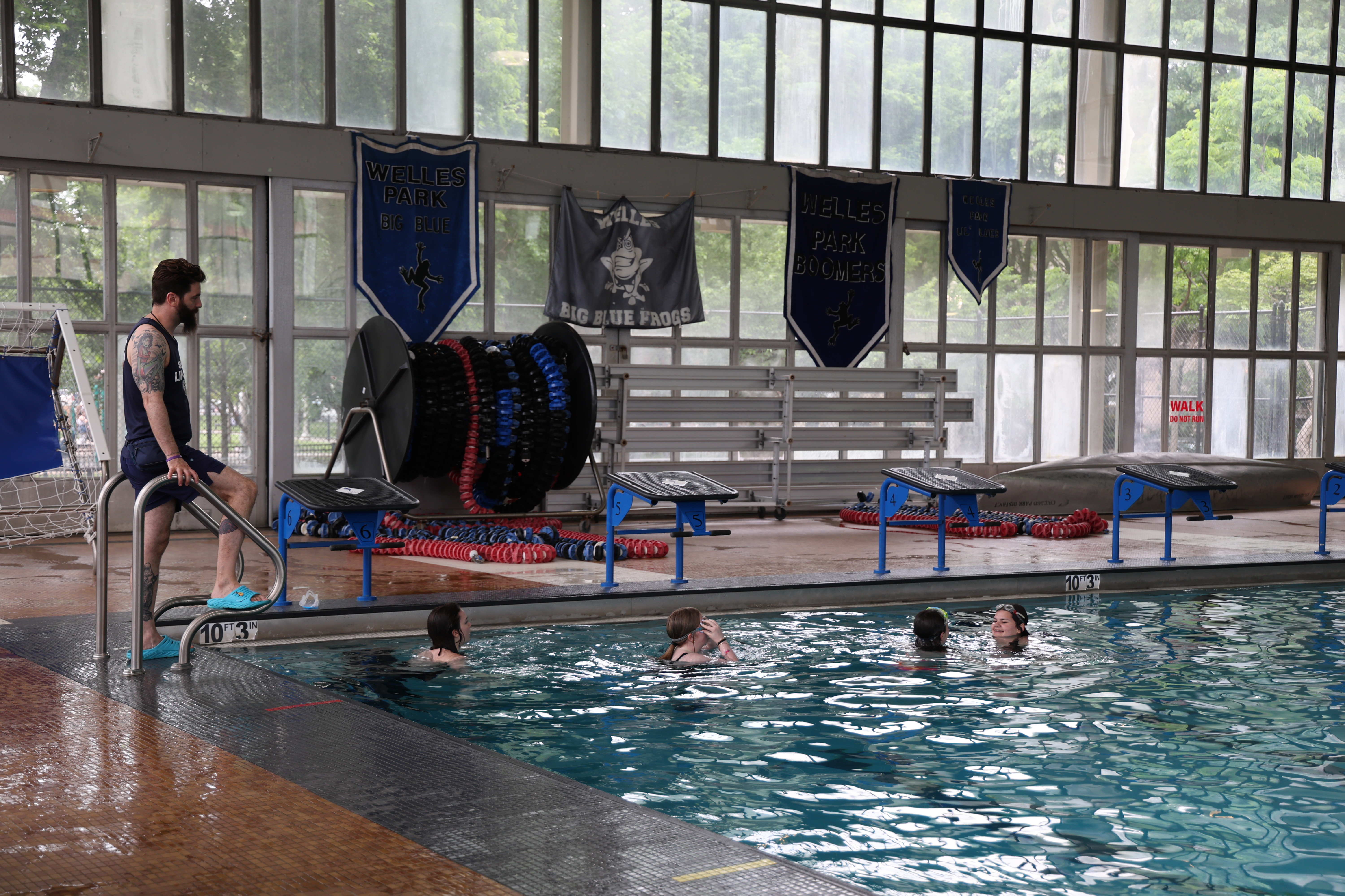 Indoor swimming pool with a man exiting and several people swimming. Banners for Welles Park Big Blue Frogs and Welles Park Boomers hang on the wall.